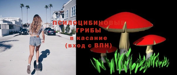 стаф Абдулино