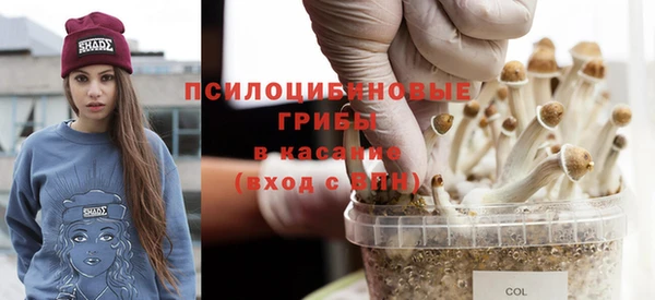 МДМА Абаза