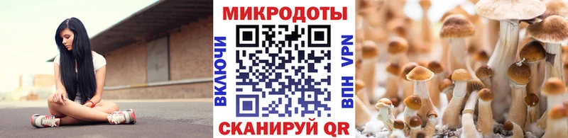 Галлюциногенные грибы мухоморы  где купить наркоту  Руза 