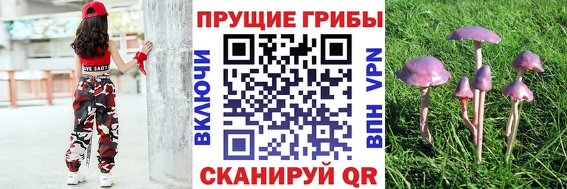 Псилоцибиновые грибы Magic Shrooms Руза