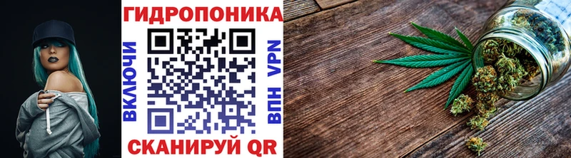 Конопля семена  Руза 
